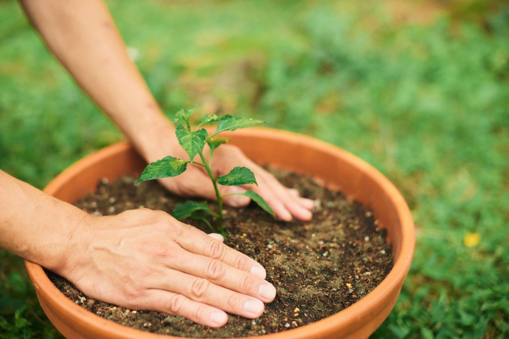 Mik a kertészkedés pozitív hatásai?